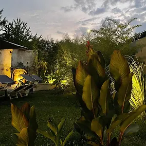 Delax - Adults Only Solferino